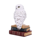 Library of Wisdom White Owl Figurine