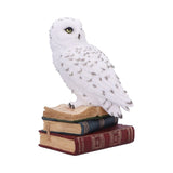 Library of Wisdom White Owl Figurine