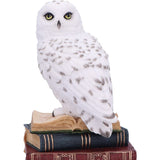 Library of Wisdom White Owl Figurine