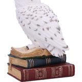 Library of Wisdom White Owl Figurine