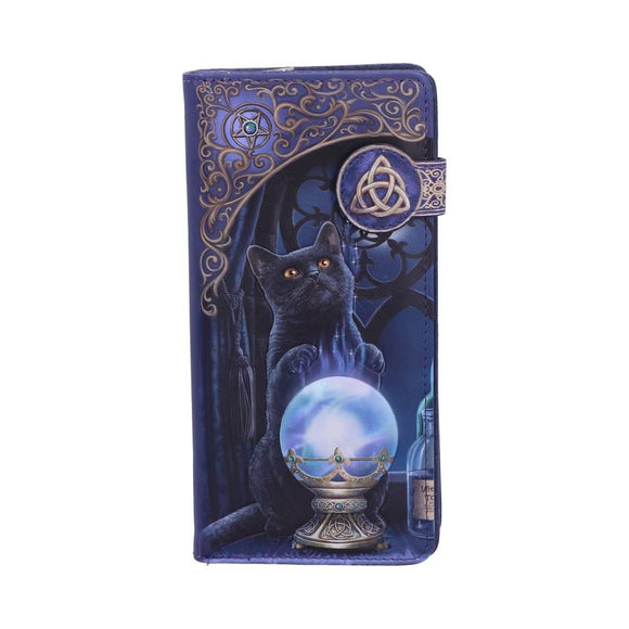 Lisa Parker The Witch's Apprentice Cat Purse