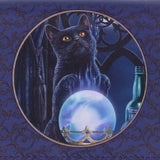 Lisa Parker The Witch's Apprentice Cat Purse