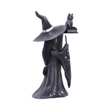 Little Souls - Shimmer, Witch & Cat Figurine
