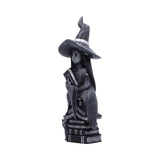 Little Souls - Shine, Book Witch Figurine