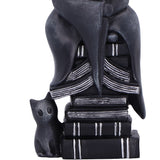 Little Souls - Shine, Book Witch Figurine