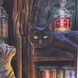 Magical Emporium Cat Notebook by Lisa Parker
