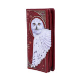 Magical Flight Owl Purse
