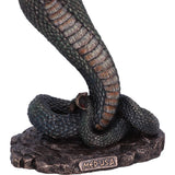Medusa's Wrath Figurine
