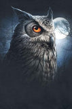 Night Wise Owl Baby Bodysuit