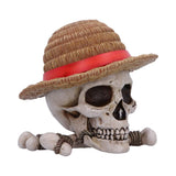 One Piece Luffy Jolly Roger Box