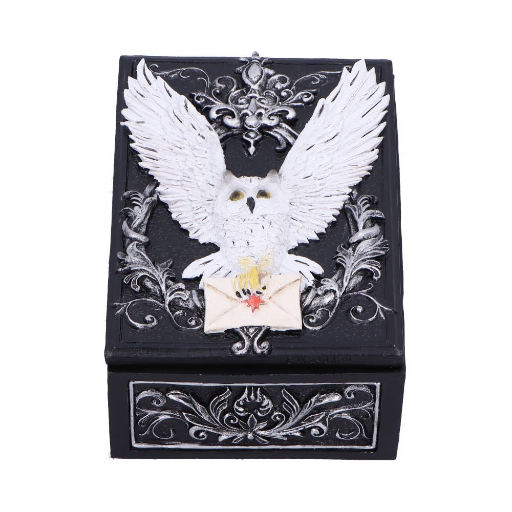 Owl Messenger Trinket Box