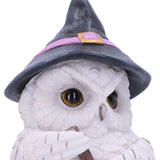 Owl Potion Figurine