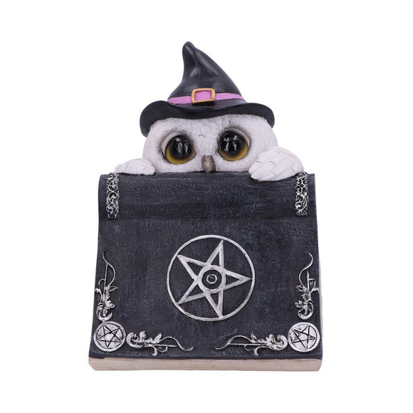 Owl's Spell Ornament