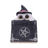 Owl's Spell Ornament