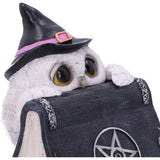 Owl's Spell Ornament