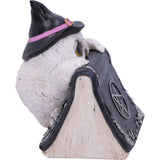 Owl's Spell Ornament