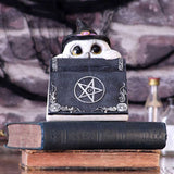 Owl's Spell Ornament