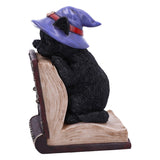 Peek-a-boo Witch Cat Bookend