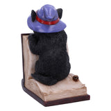 Peek-a-boo Witch Cat Bookend
