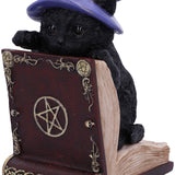 Peek-a-boo Witch Cat Bookend