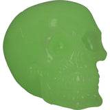 Phosphorescent Glow in the Dark Skull