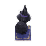 Pocus Black Witch Cat Ornament