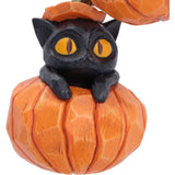 Pumpkin and Patch Halloween Hanging Ornaments