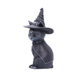 Purrah Witch Cat Ornament 13.5cm