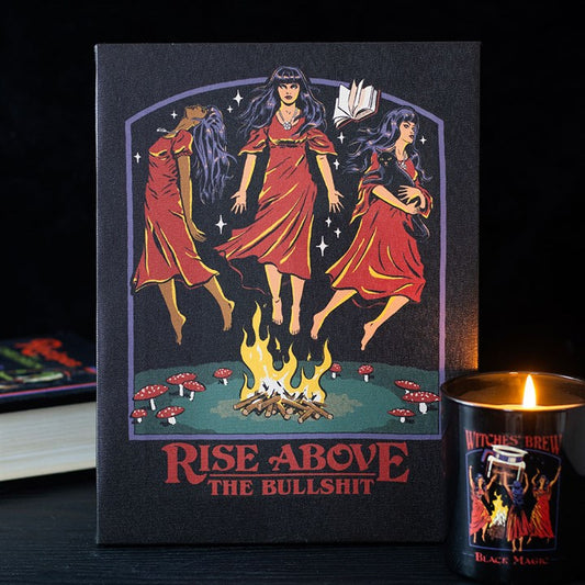 Rise Above the Bullshit canvas picture by Steven Rhodes