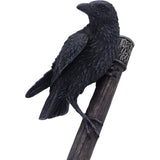 Raven on Thor's Hammer