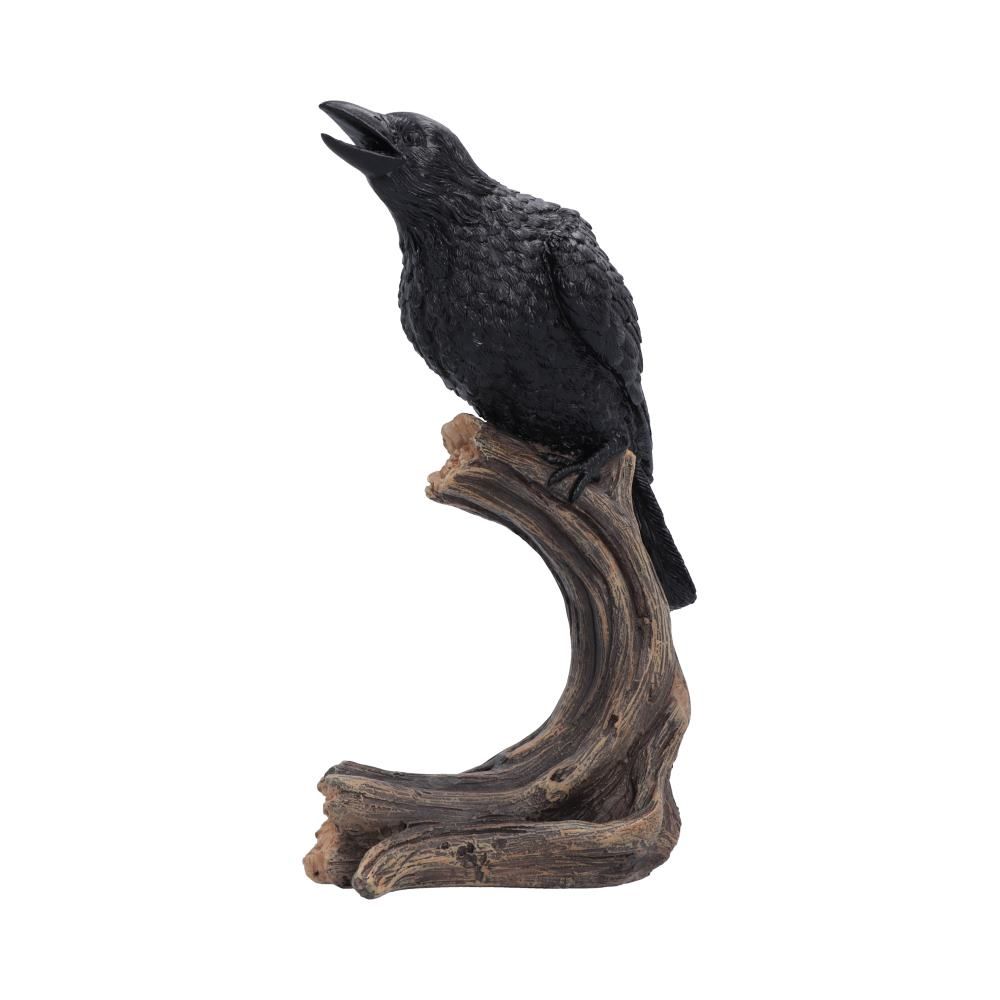 Raven's Caw black raven figurine by Nemesis Now