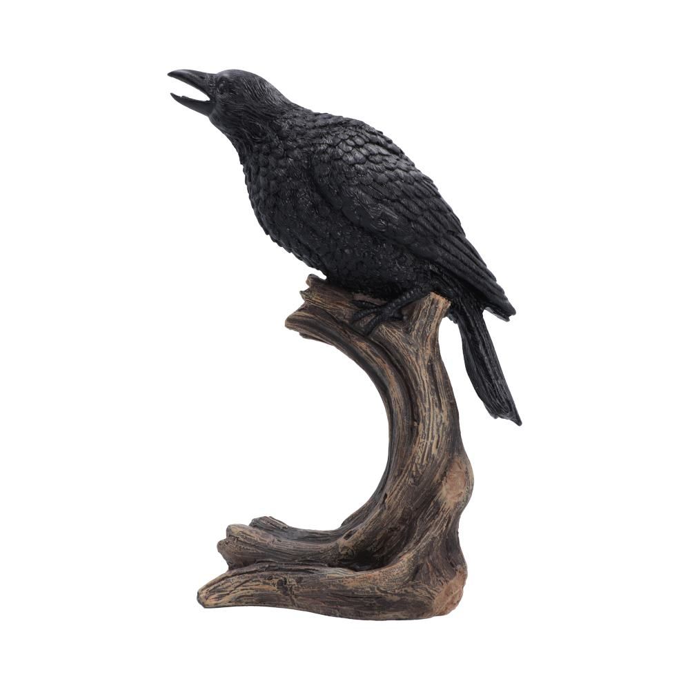 Raven's Caw black raven figurine by Nemesis Now side view