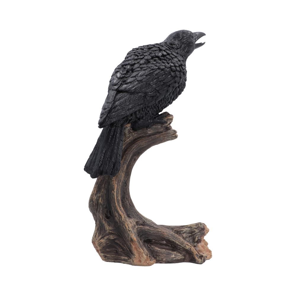 Raven's Caw black raven figurine by Nemesis Now rear view