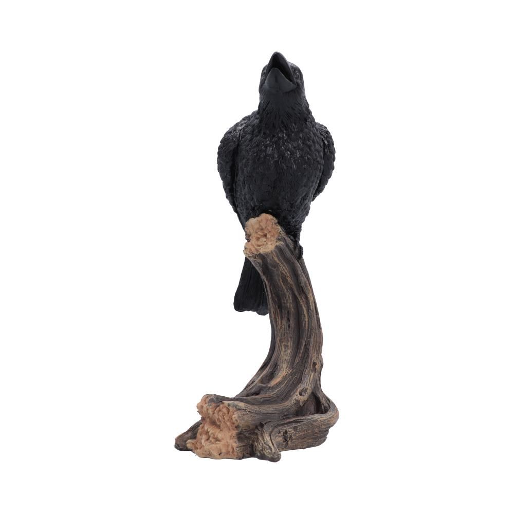 Raven's Caw black raven figurine by Nemesis Now front