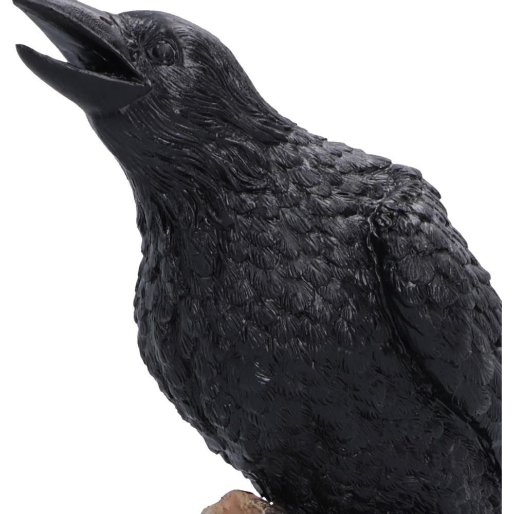 Raven's Caw black raven figurine by Nemesis Now Close up