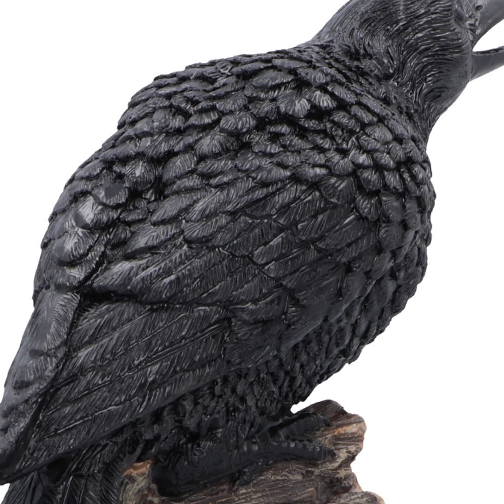 Raven's Caw black raven figurine by Nemesis Now wing detail