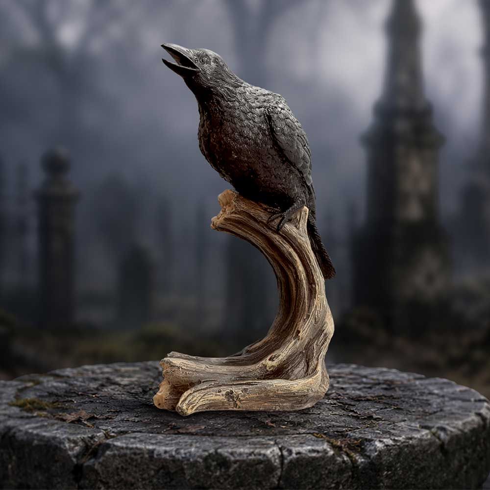 Raven's Caw black raven figurine by Nemesis Now pictured in a graveyard