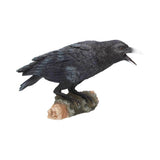 Raven's Call
