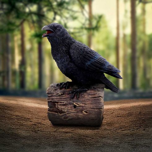 Ravens Cry - Motion Sensor Sound