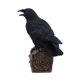 Ravens Cry - Motion Sensor Sound