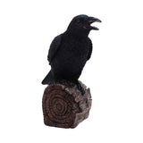 Ravens Cry - Motion Sensor Sound