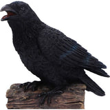 Ravens Cry - Motion Sensor Sound
