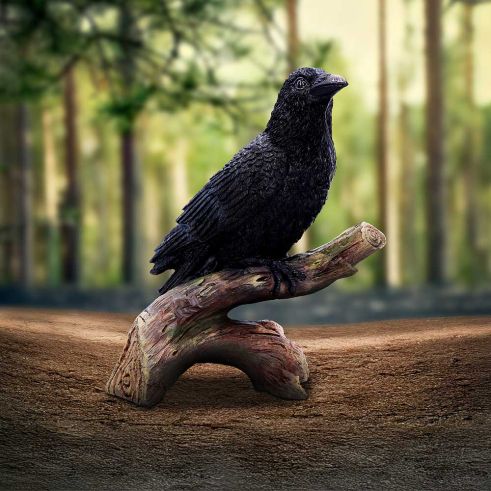 Ravens Perch