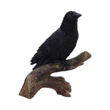 Ravens Perch