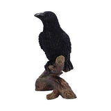 Ravens Perch