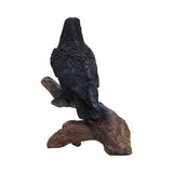 Ravens Perch