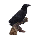 Ravens Perch