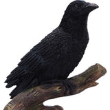 Ravens Perch