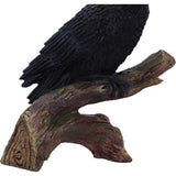 Ravens Perch