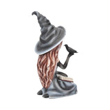Regan Raven Witch Figurine